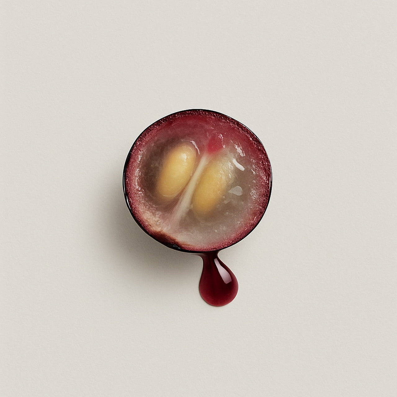 Nuzest ingredients - Jabuticaba