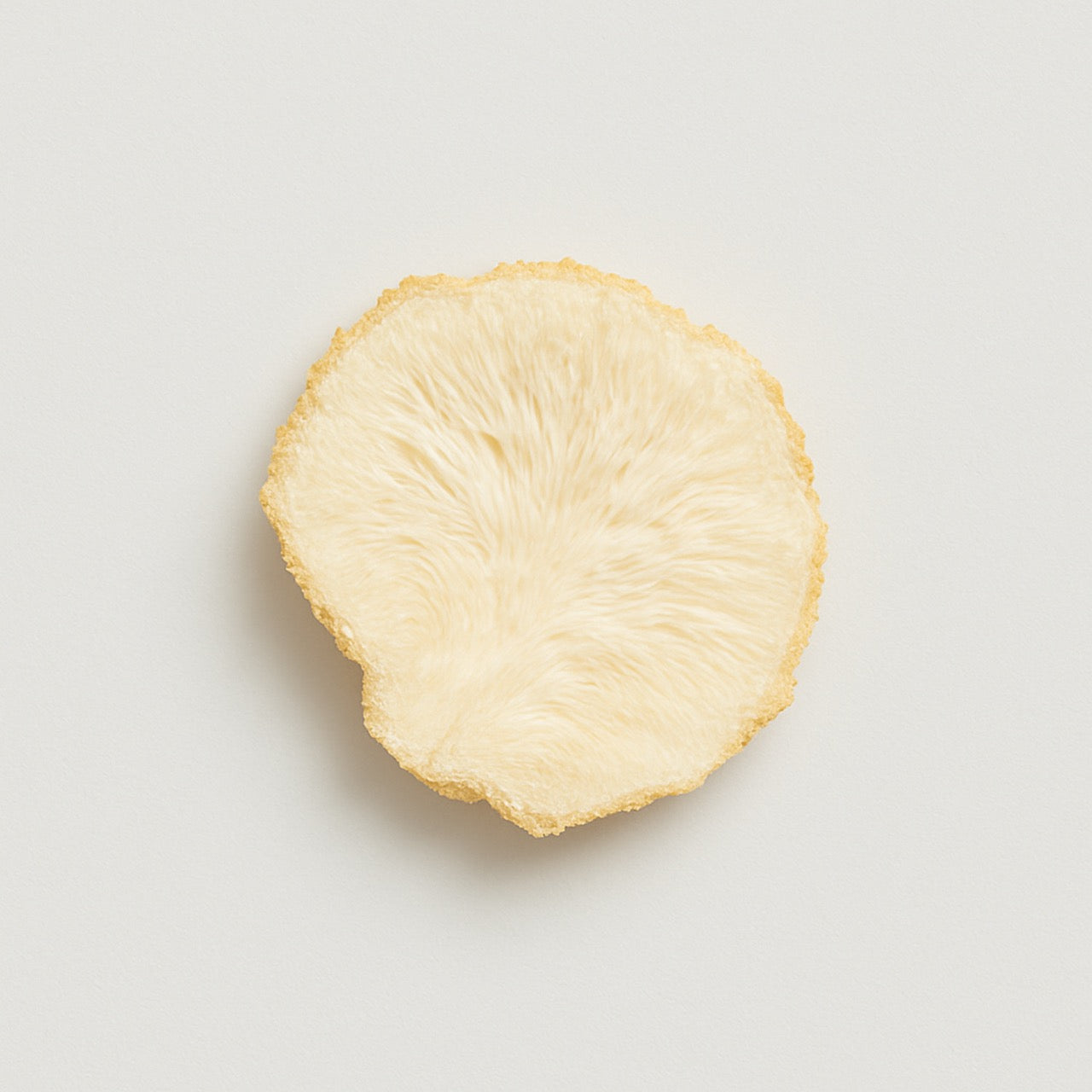 Nuzest ingredients - Lion's mane