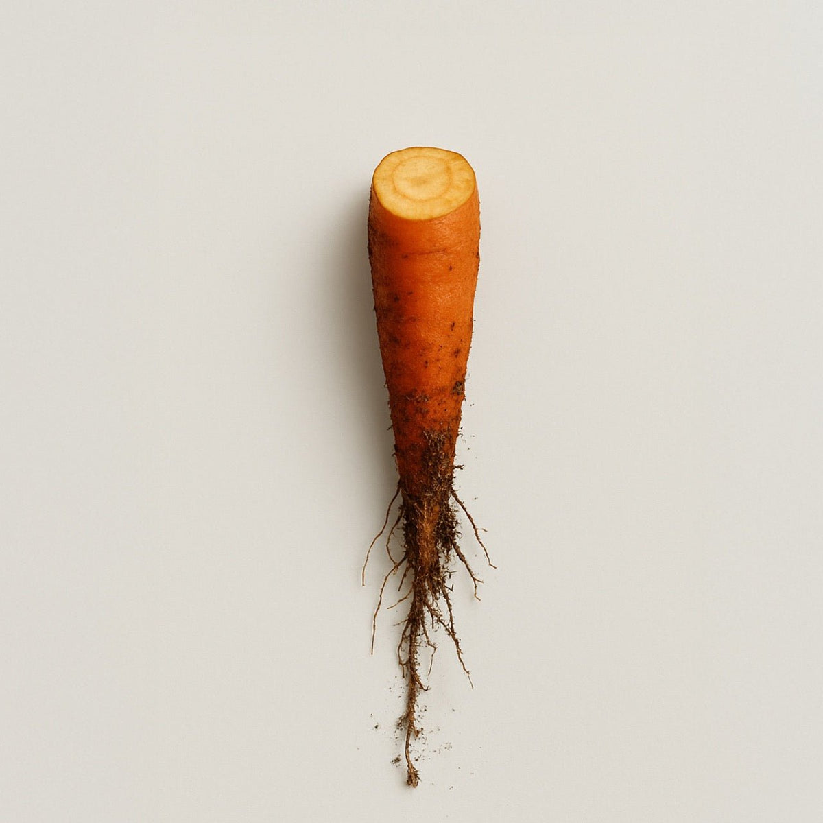 Carrot - Nuzest UK