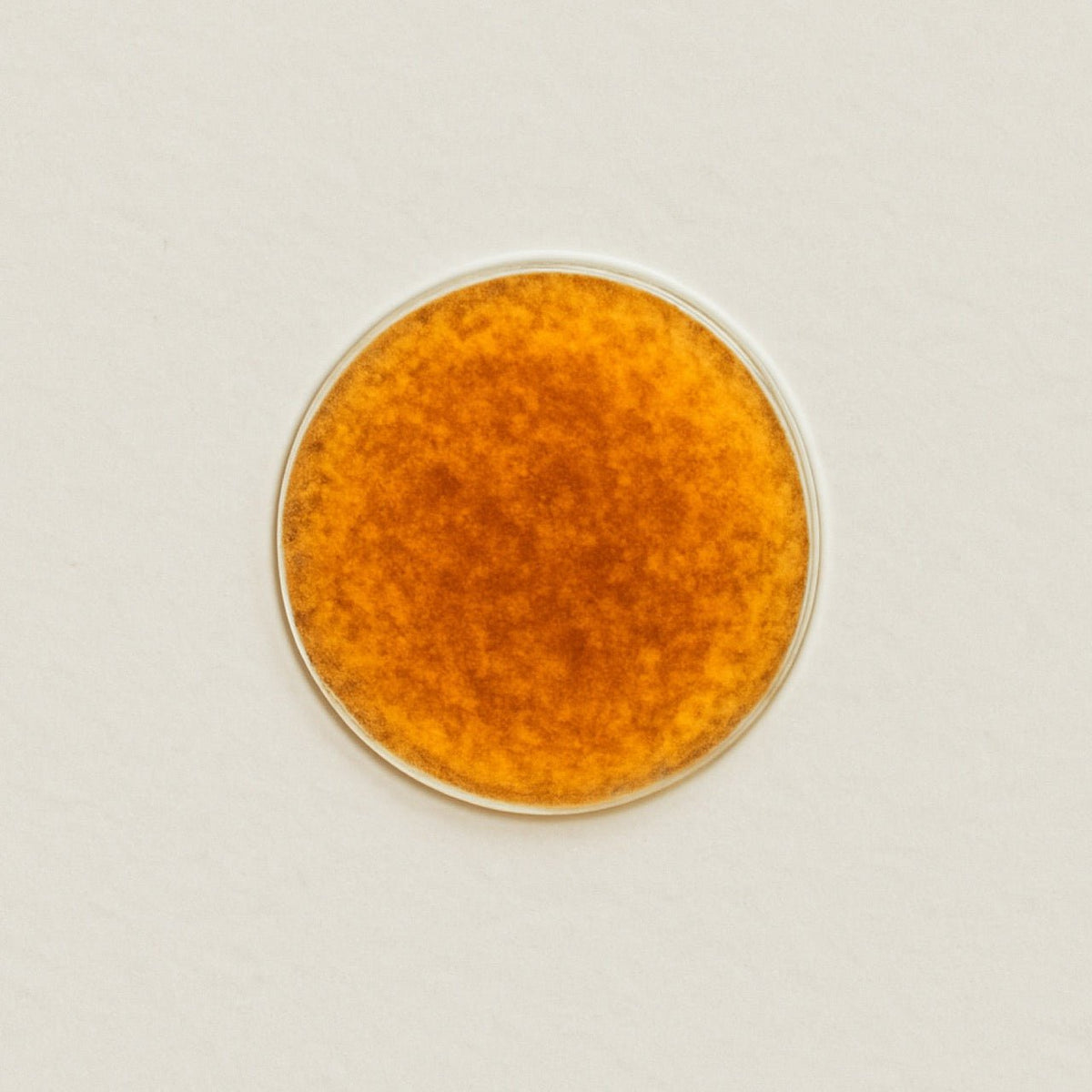 Dunaliella salina - Nuzest UK