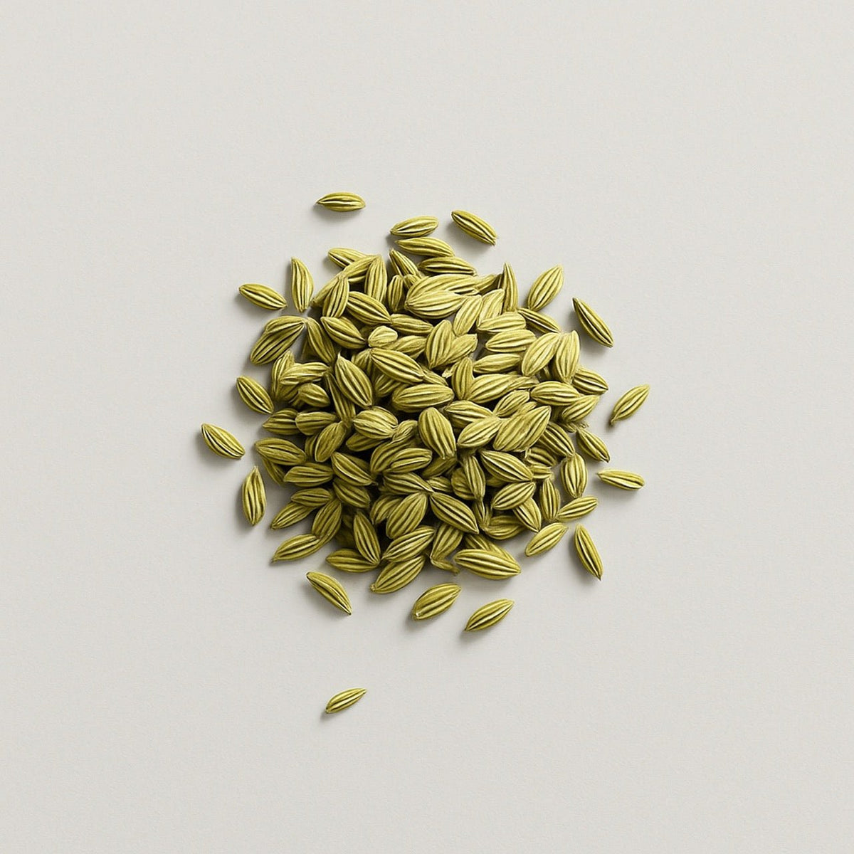 Fennel seed - Nuzest UK