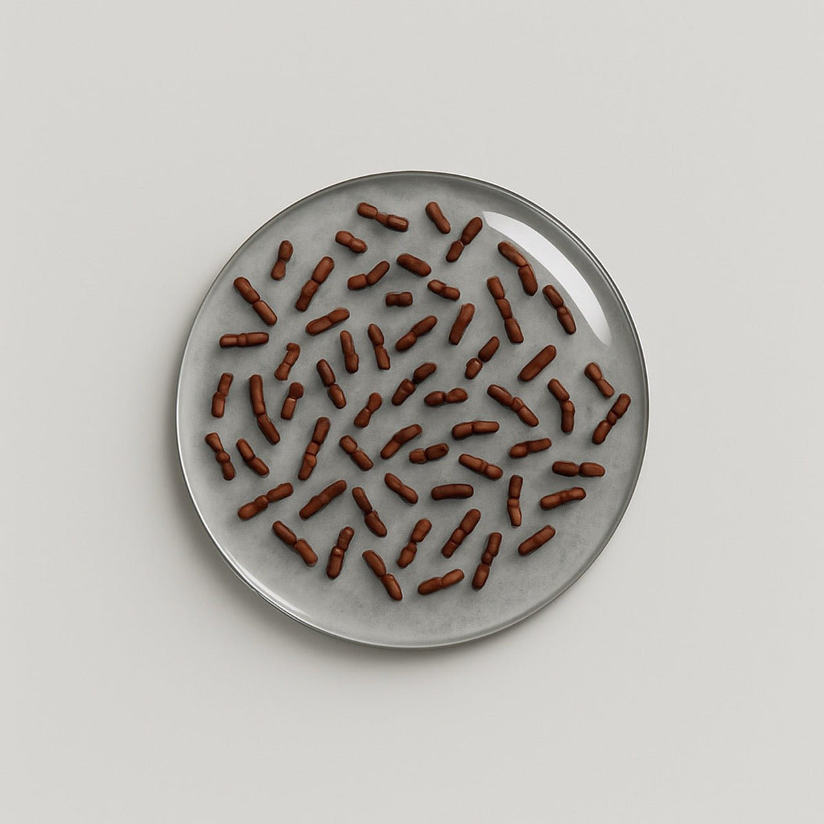 Lactobacillus casei - Nuzest UK
