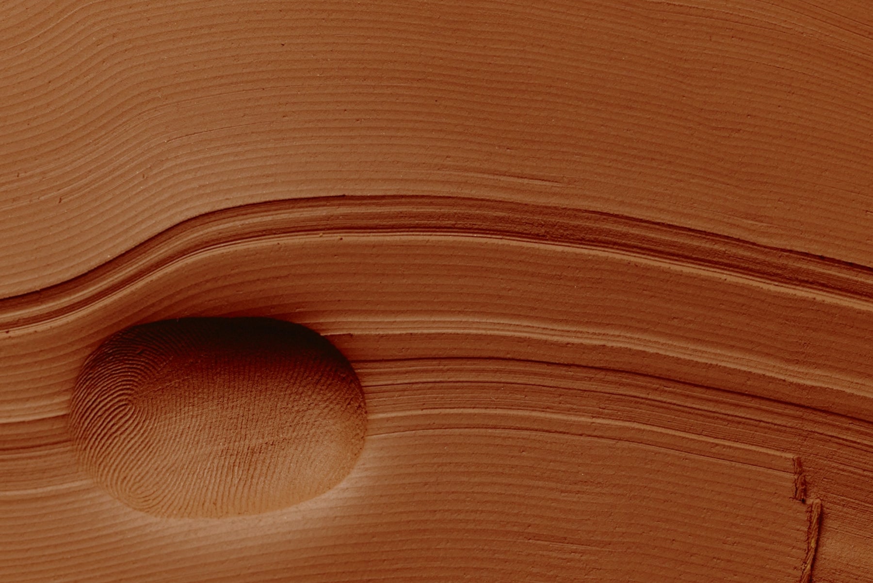 Stress, Hormones and Digestion: Understanding Everyday Interactions - Nuzest UK