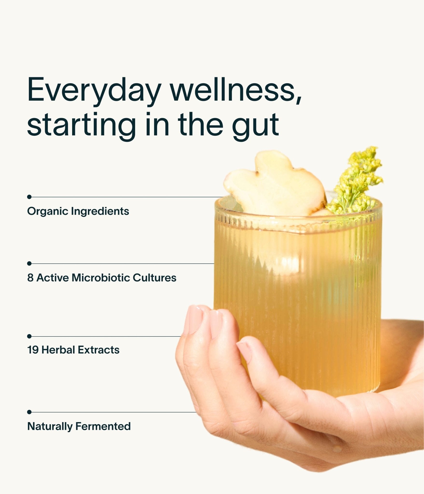 Nuzest - Inner Biome Blend - 500ml Ginger 4