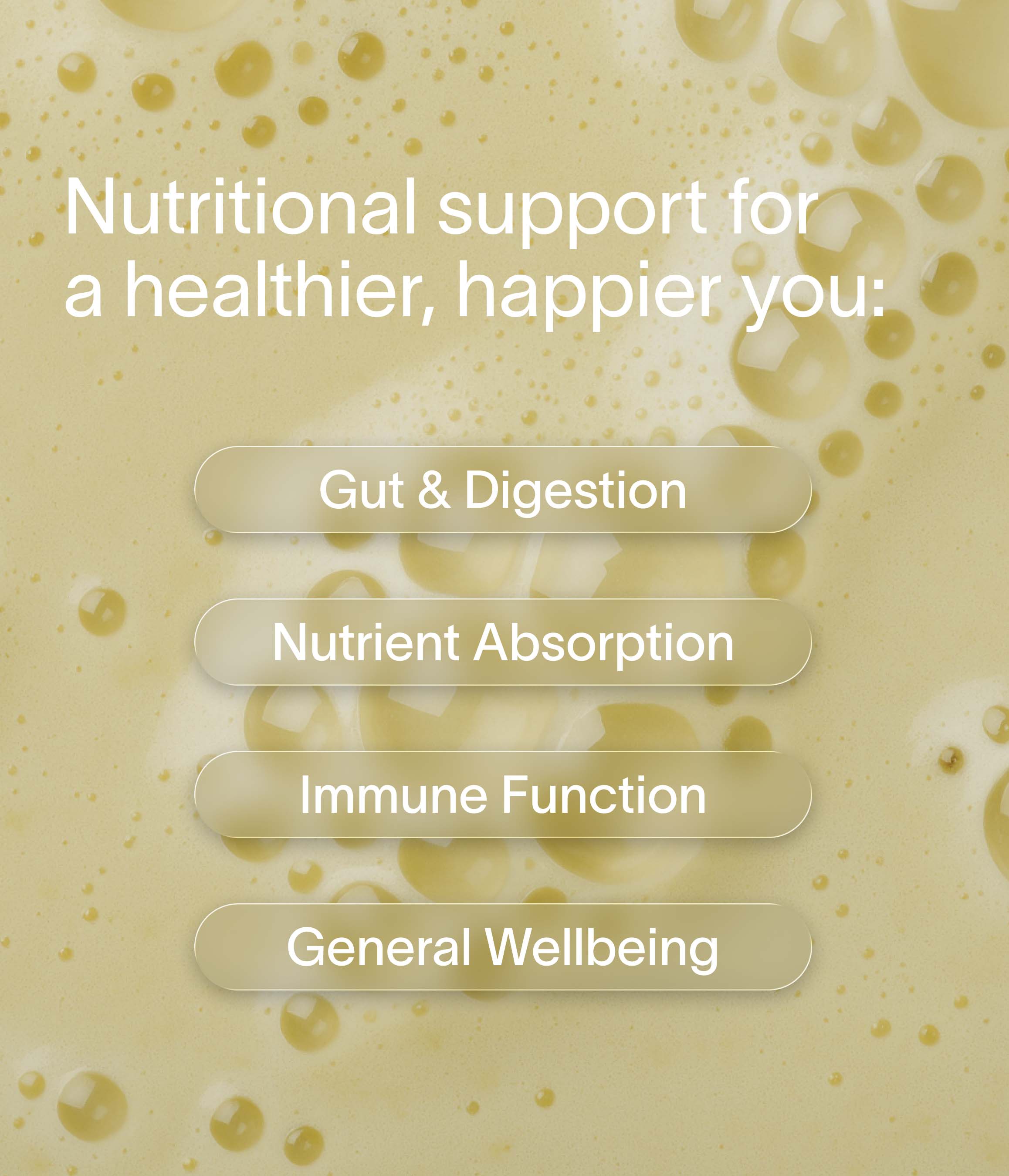 Nuzest - Vibrant Insides - Vanilla 250g 3